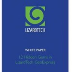 LizardTech White Paper